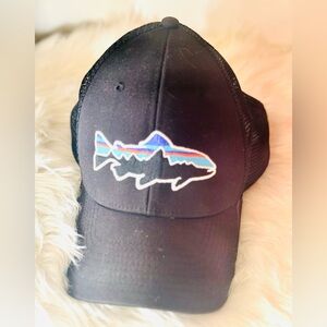 Patagonia Fitz RoyTrout Trucker Cap